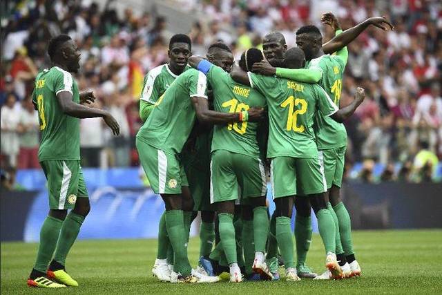塞内加尔足球队竞猜,塞内加尔足球队,卡塔尔世界杯,黑马队伍,竞猜