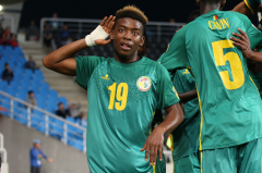 塞内加尔队在世界杯形势乐观队员教练阵容豪华