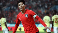韩国队世界杯预测,韩国队到底是亚洲之光还是之耻世界杯上还会