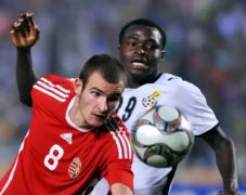 加纳队比赛战术素养高超世界杯上胜利在即