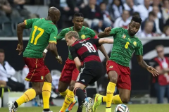 喀麦隆队强势出击，世界杯中非洲雄狮欲再创辉煌