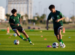 沙特队世界杯预选赛表现强势成功晋级世界杯.