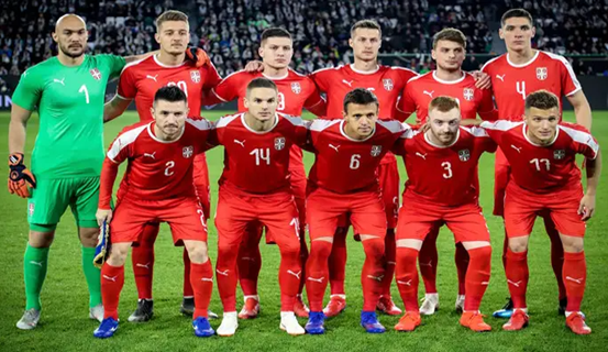 塞尔维亚足球队球迷,塞尔维亚世界杯,瑞士,巴西,米林科维奇