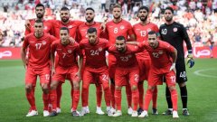 突尼斯世界杯预测小组第二出线，世界杯强队云集能否继续进步！