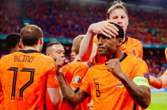 荷兰世界杯前景分析预测小组赛全胜世界杯必然夺得世界杯冠军
