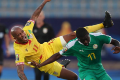 塞内加尔世界杯赛事预测,在本次世界杯中将不被球迷看好