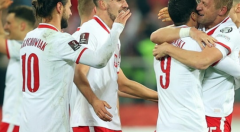 波兰世界杯赛事预测，波兰队将在世界杯赛中征战四方