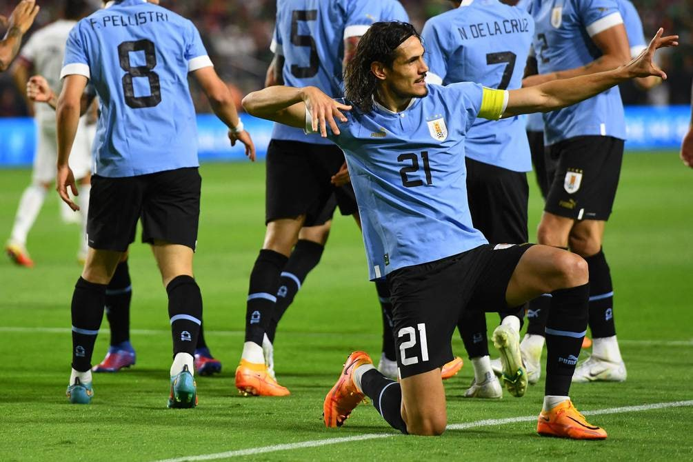 乌拉圭足球队,乌拉圭世界杯,苏亚雷斯,参赛,主力队员  