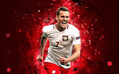 波兰队在世界杯球队依旧强大冠军呼声很响值得期待