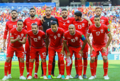 突尼斯队虽从未小组晋级但是是世界杯历史上首支取胜的非洲球队