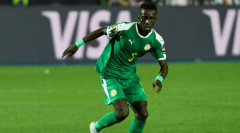 塞内加尔国家队世界杯预测最大的竞争对手可能是加纳世界杯预