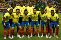 各有各的图沃尔夫斯堡主场大球厄瓜多尔国家男子足球队直播
