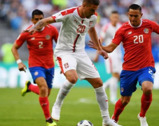 塞尔维亚队的实力很强，在世界杯赛场上使用了全力