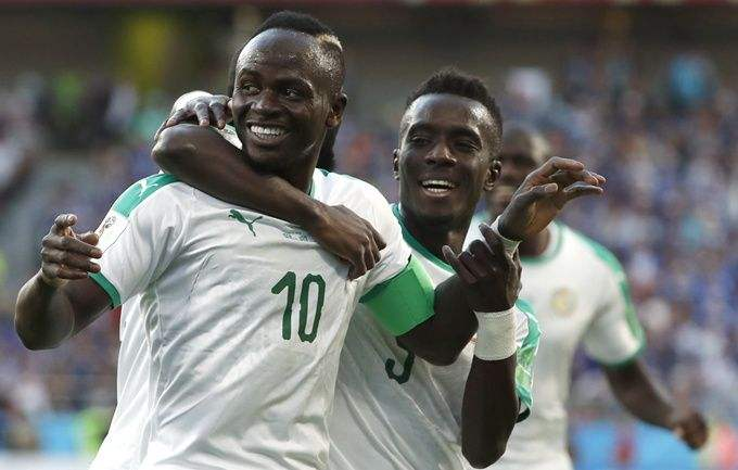 塞内加尔专家推荐,塞内加尔世界杯,荷兰队,厄瓜多尔队,卡塔尔队  