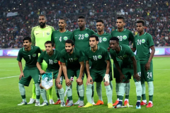沙特世界杯排名预测，该队的实力稳步上涨，可能会在世界杯赛